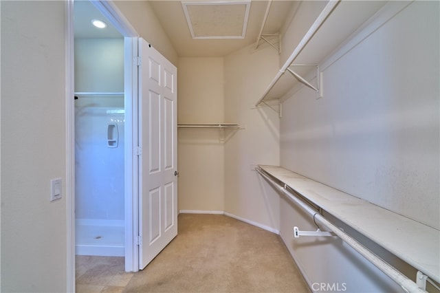 walk in closet with light carpet