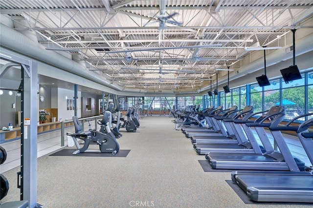 exercise room with a high ceiling