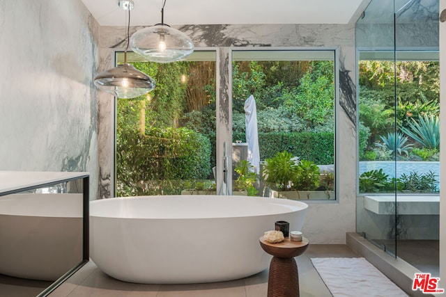 bathroom with plenty of natural light and a bathtub