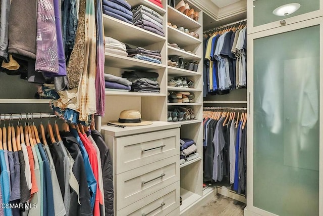 spacious closet with light wood-type flooring