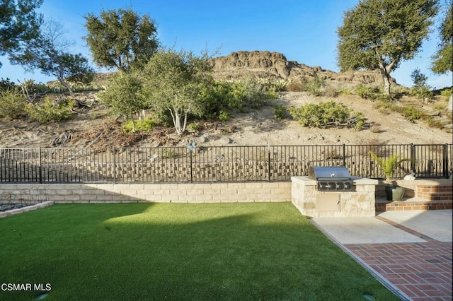 view of yard with a patio area, a mountain view, and exterior kitchen