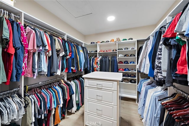 view of spacious closet