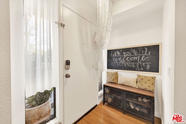 mudroom with wood-type flooring