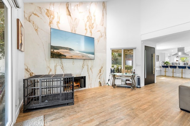 living room featuring a towering ceiling, wood finished floors, and a high end fireplace