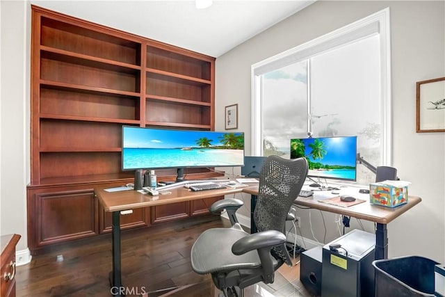 office with dark hardwood / wood-style floors