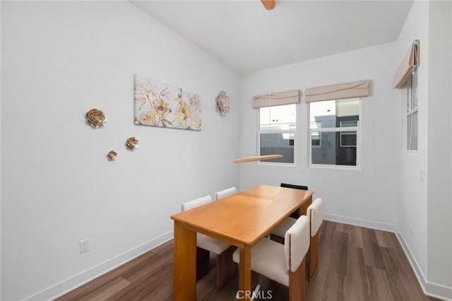 dining space featuring dark wood-type flooring