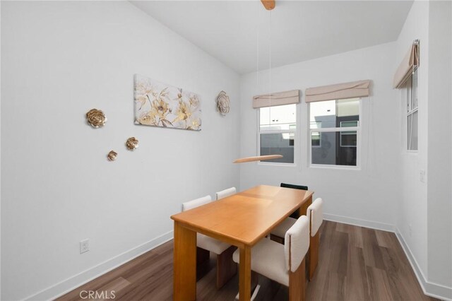 dining room with dark hardwood / wood-style floors