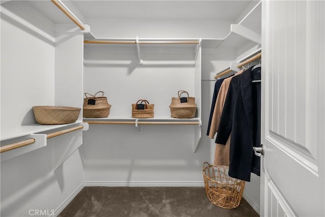 walk in closet with dark colored carpet