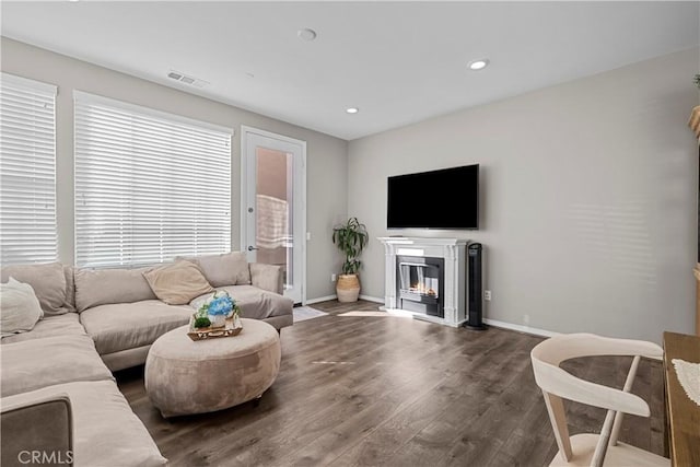 living room with wood-type flooring