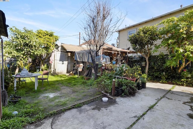 view of yard with a storage shed and a patio area