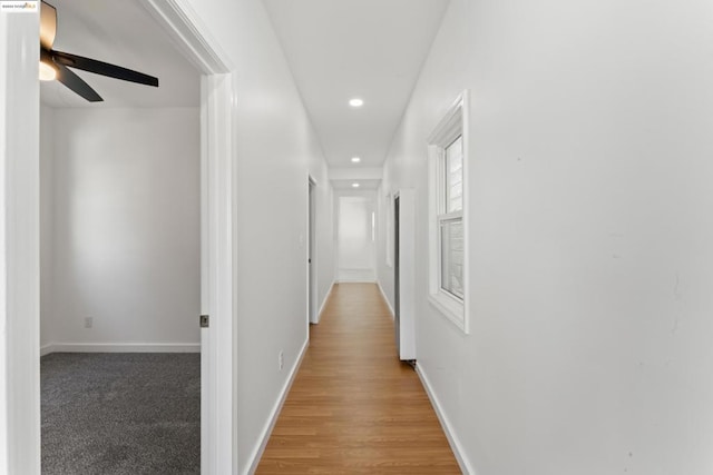 hallway featuring hardwood / wood-style flooring