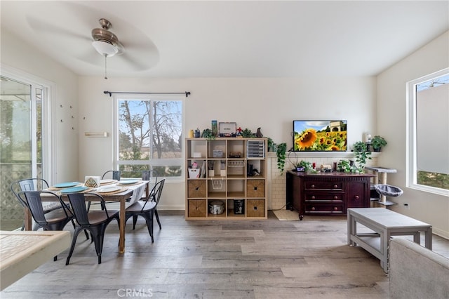 dining space featuring plenty of natural light and wood finished floors