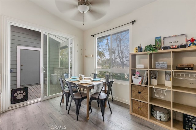 dining area featuring ceiling fan and wood finished floors