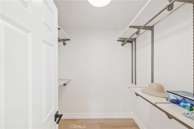 walk in closet featuring light hardwood / wood-style floors