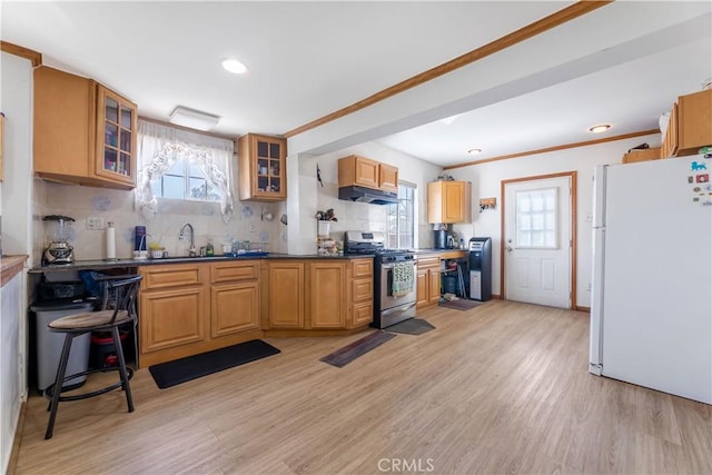 kitchen with light hardwood / wood-style floors, white refrigerator, tasteful backsplash, stainless steel gas stove, and a wealth of natural light