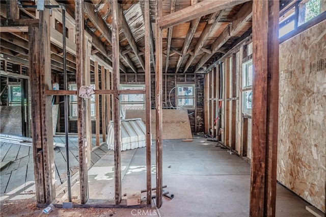 miscellaneous room with plenty of natural light