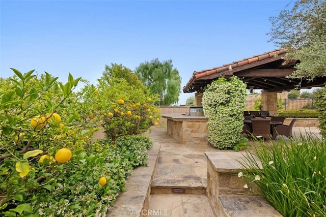 view of patio with area for grilling