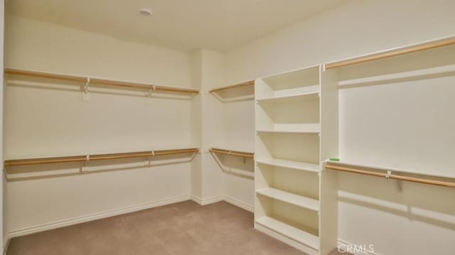 spacious closet with light colored carpet