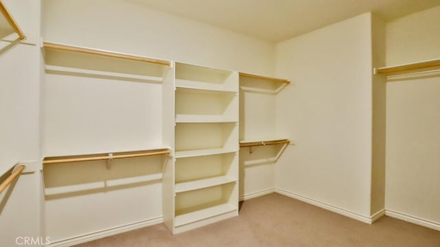 spacious closet featuring carpet floors