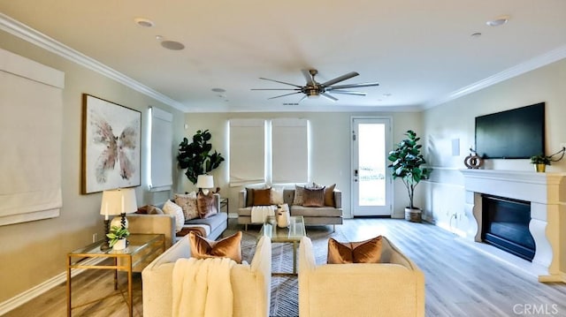 living room with ceiling fan, crown molding, and light wood-type flooring