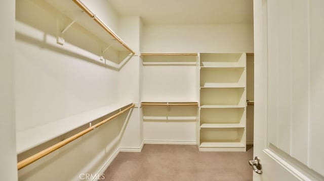 walk in closet with light colored carpet