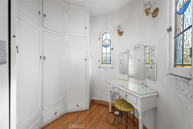 bathroom with a healthy amount of sunlight and wood-type flooring