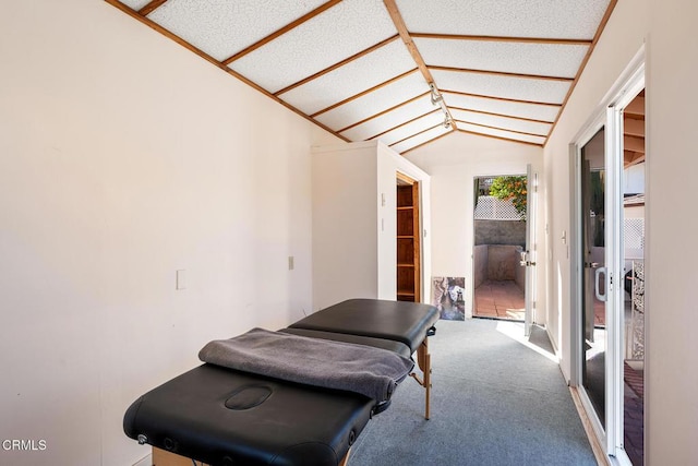 interior space with vaulted ceiling