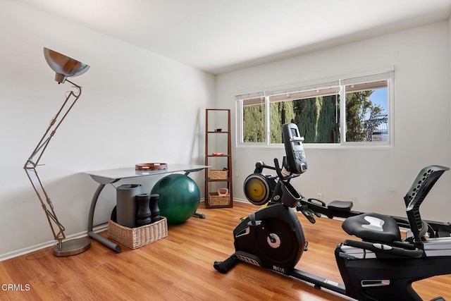 workout area featuring hardwood / wood-style floors