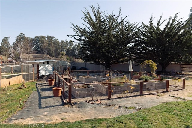 view of yard with a shed