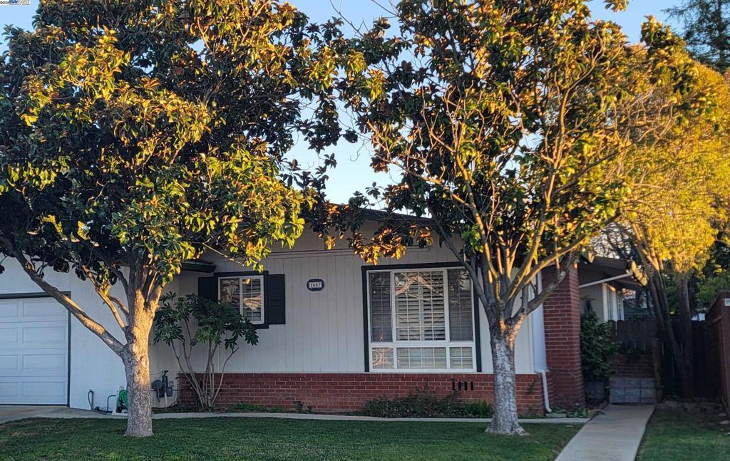 view of front facade with a front yard