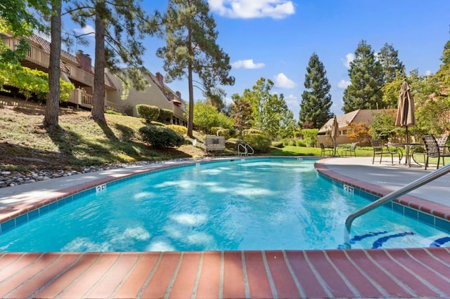 view of swimming pool