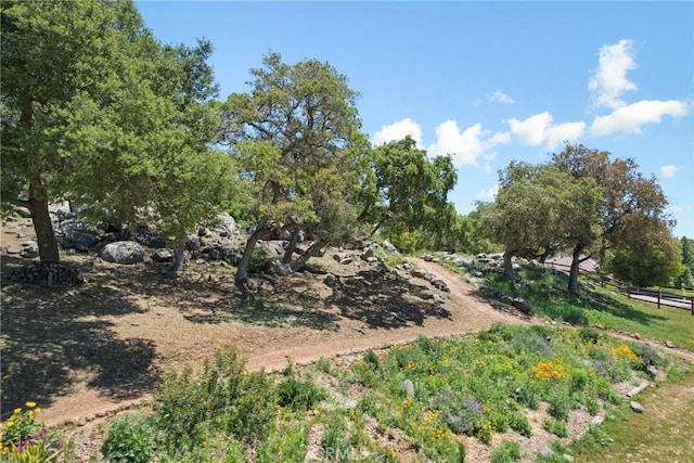 19490 Calle Juanito, Murrieta, CA 92562 - view of yard