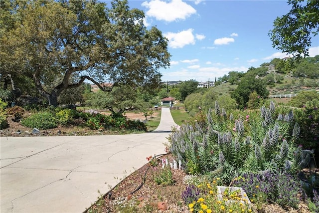 19490 Calle Juanito, Murrieta, CA 92562 - view of concrete road