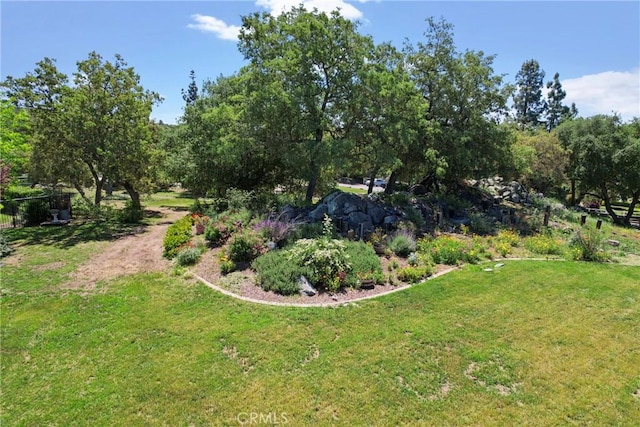 19490 Calle Juanito, Murrieta, CA 92562 - view of grassy yard