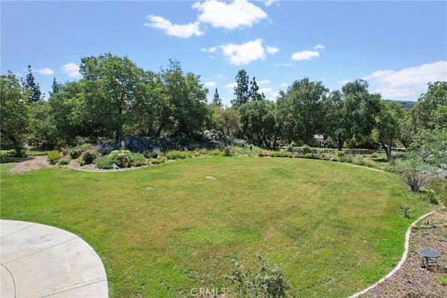 19490 Calle Juanito, Murrieta, CA 92562 - view of green lawn