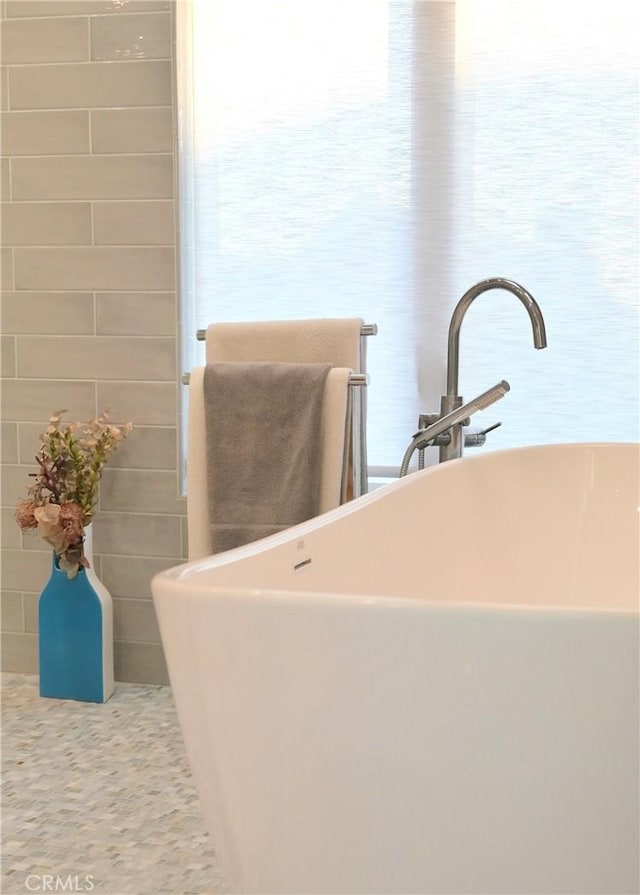 details featuring a freestanding tub and a sink