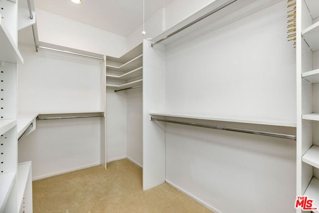 spacious closet with light carpet