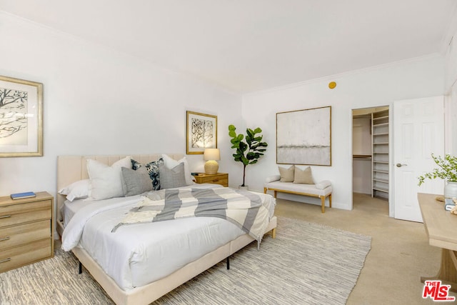 carpeted bedroom featuring a walk in closet, ornamental molding, and a closet