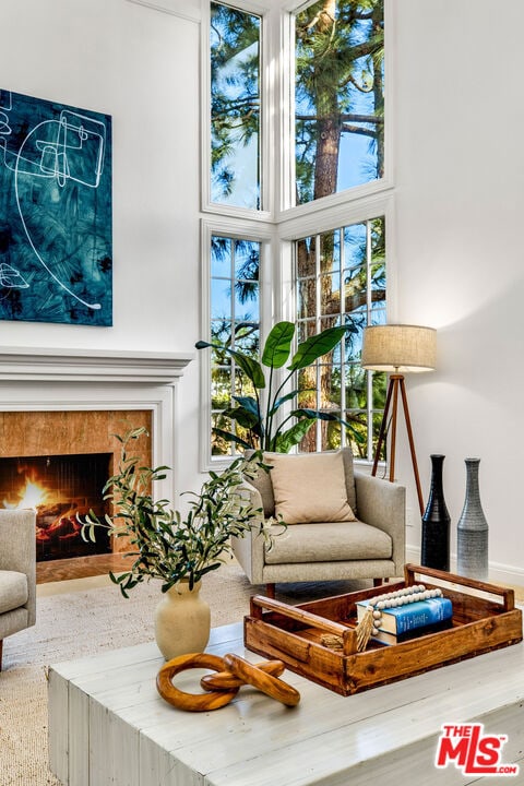 living room with a towering ceiling