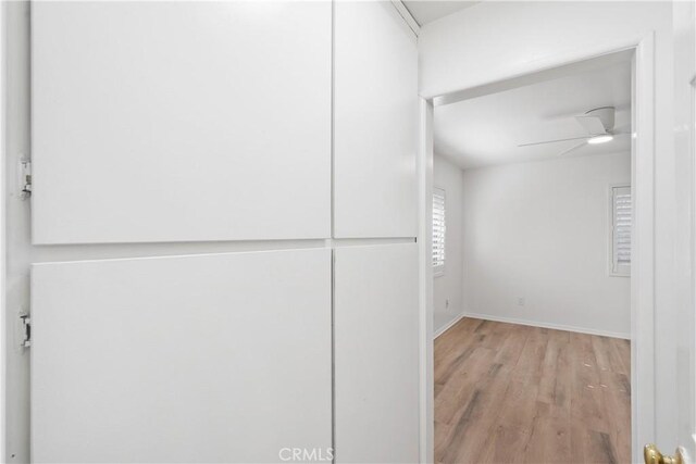 spacious closet featuring ceiling fan and light hardwood / wood-style floors