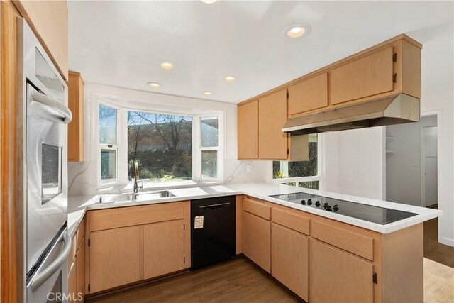 kitchen featuring kitchen peninsula, light brown cabinetry, wood-type flooring, black appliances, and sink