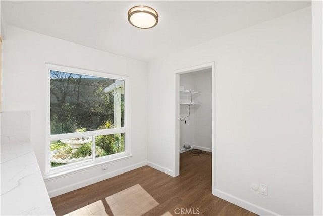 interior space featuring a spacious closet, dark hardwood / wood-style floors, and a closet