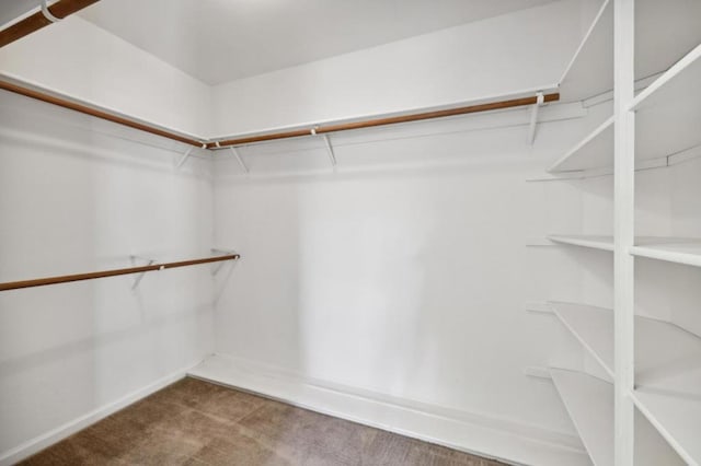 walk in closet with carpet