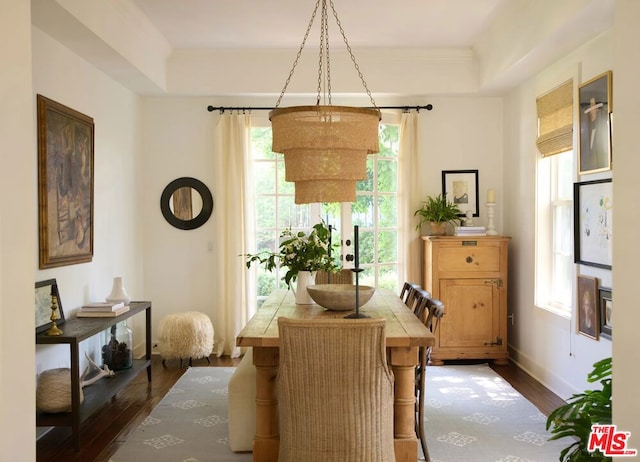 dining room with plenty of natural light, dark hardwood / wood-style flooring, and a raised ceiling