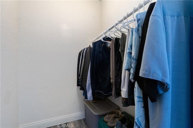 spacious closet with wood-type flooring