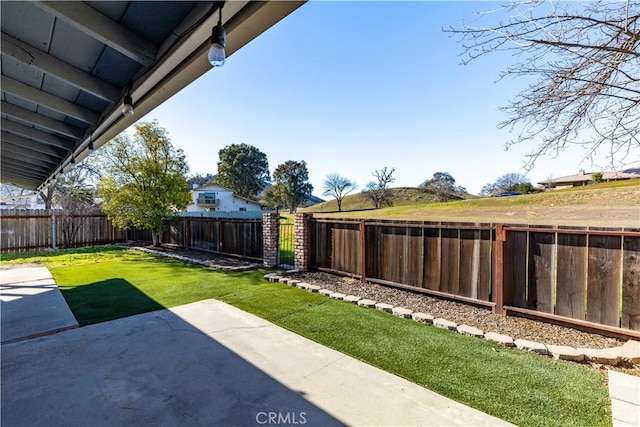 view of yard with a patio area