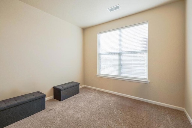 sitting room featuring light carpet