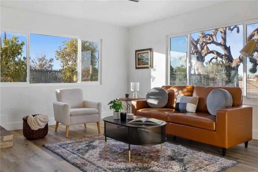 sitting room featuring wood-type flooring and a wealth of natural light