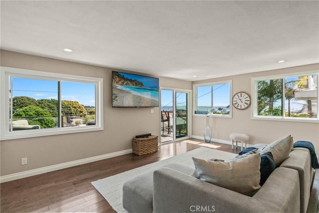 living room with hardwood / wood-style flooring and plenty of natural light