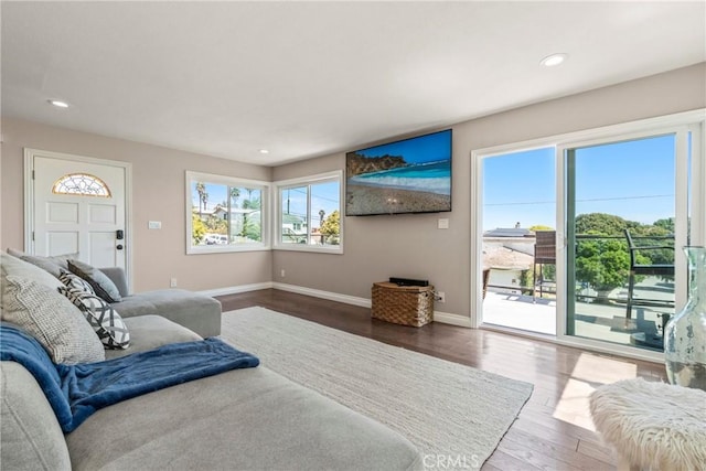 living room with wood-type flooring